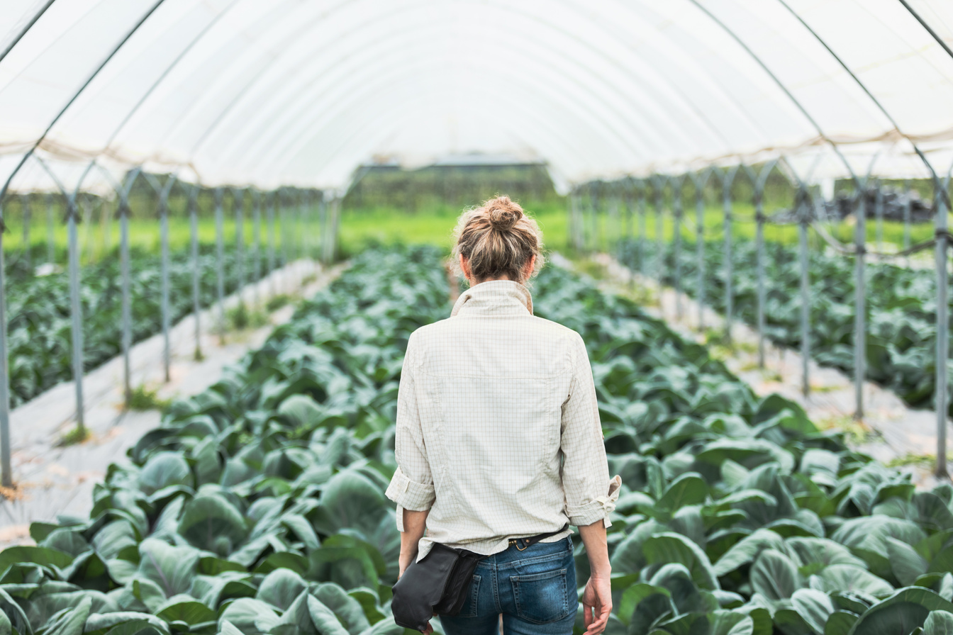 Woman farmer in greenhouse